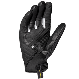 G-carbon Certificato Spidi - 3