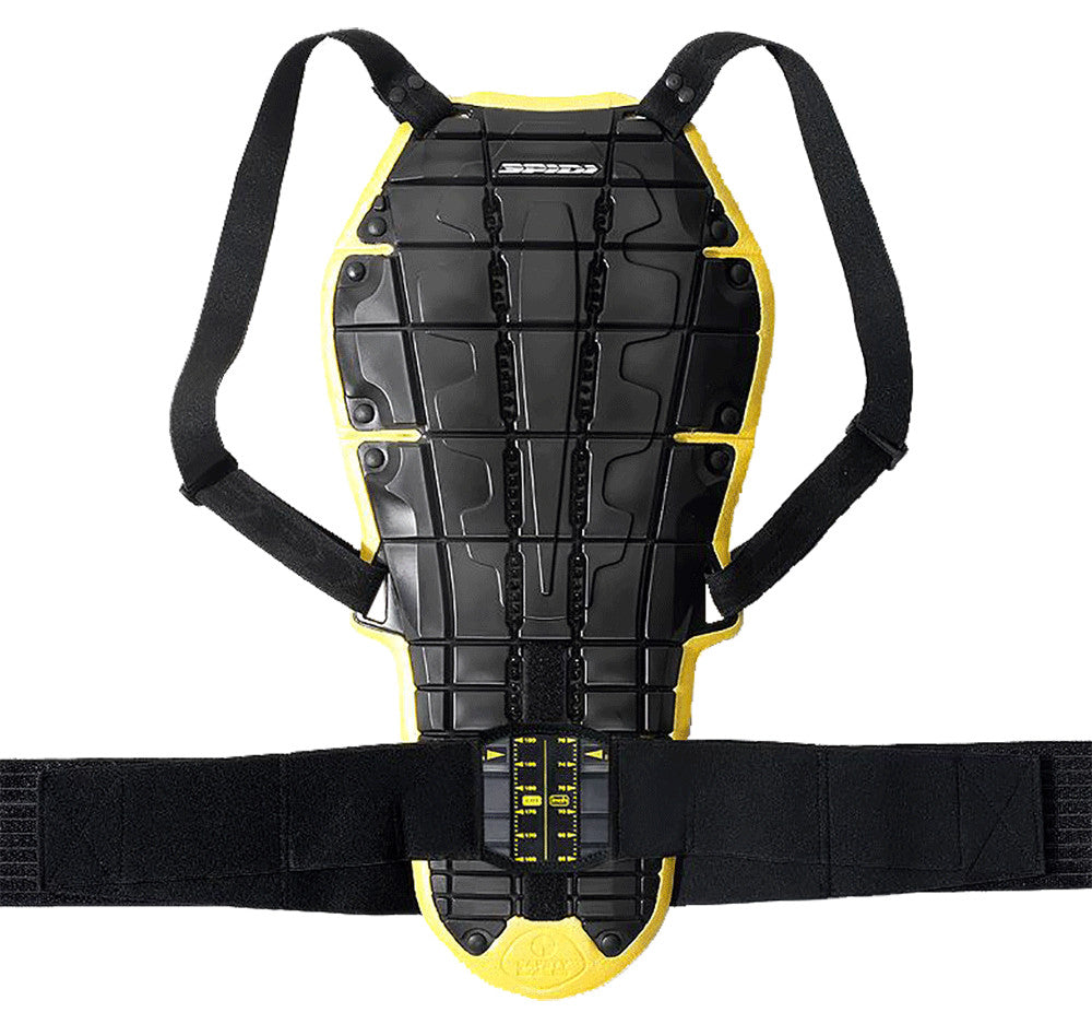 Back Warrior Evo